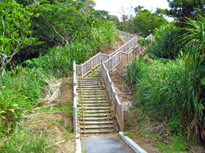 緑の回廊 風景写真８