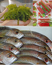 海ぶどう・刺身・新鮮な魚
