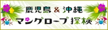鹿児島＆沖縄マングローブ探検
